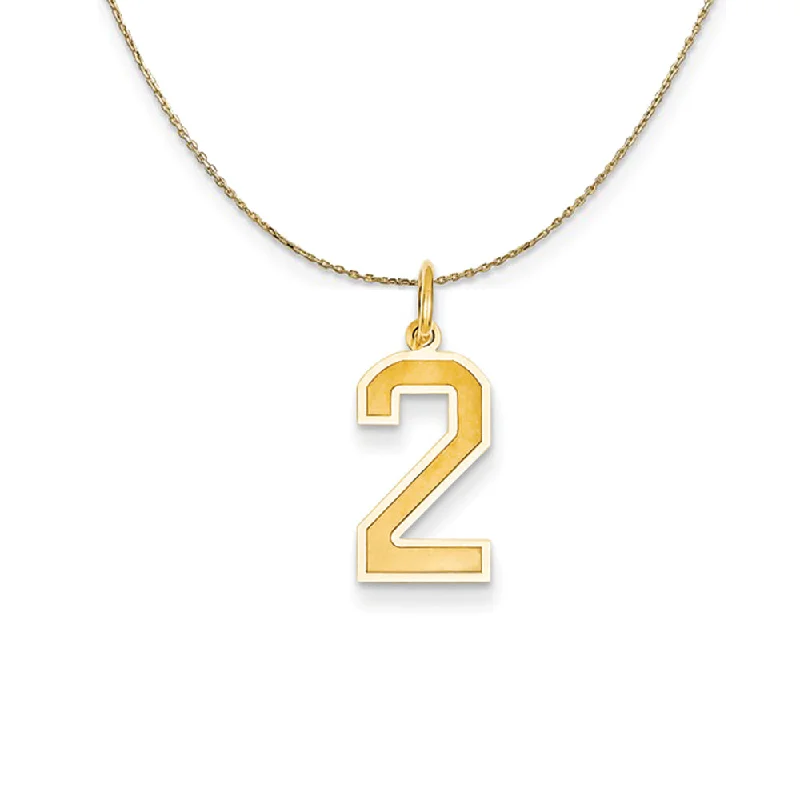 stretchable pendant necklace-14k Yellow Gold, Jersey, Med Number 2 Necklace